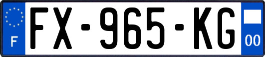 FX-965-KG