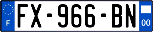FX-966-BN