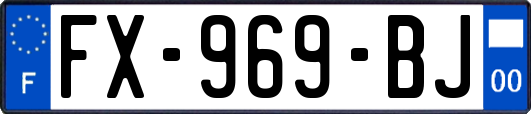 FX-969-BJ