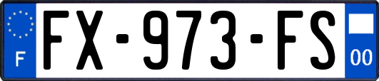 FX-973-FS