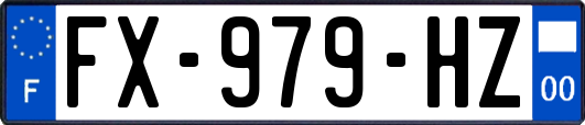 FX-979-HZ