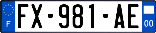 FX-981-AE