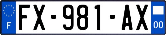 FX-981-AX