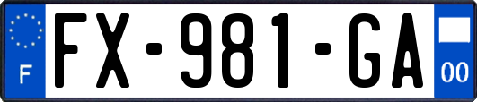 FX-981-GA