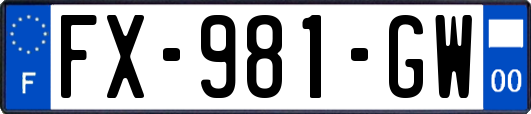 FX-981-GW