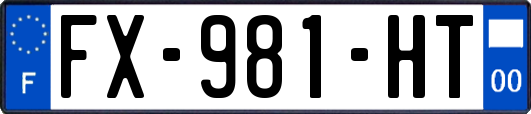 FX-981-HT