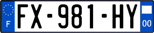 FX-981-HY