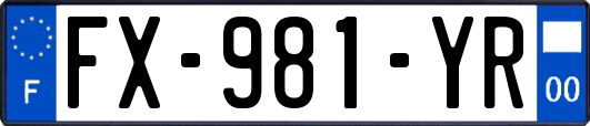 FX-981-YR