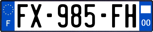 FX-985-FH