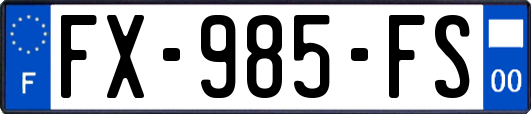 FX-985-FS