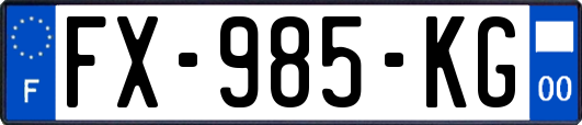 FX-985-KG