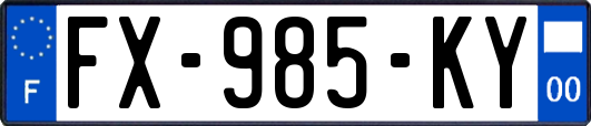 FX-985-KY