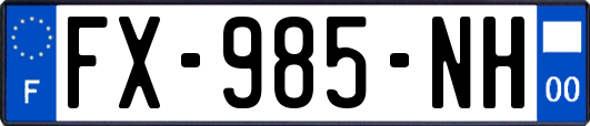 FX-985-NH