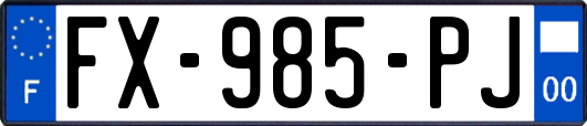 FX-985-PJ