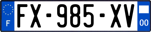 FX-985-XV