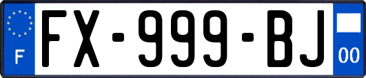 FX-999-BJ