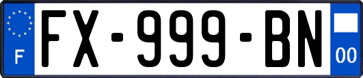 FX-999-BN