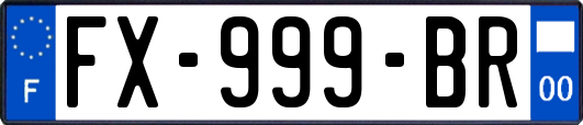 FX-999-BR