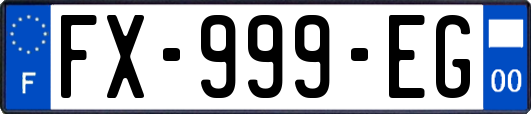 FX-999-EG