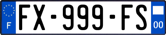 FX-999-FS