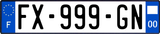 FX-999-GN