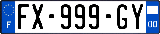 FX-999-GY