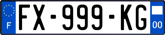 FX-999-KG