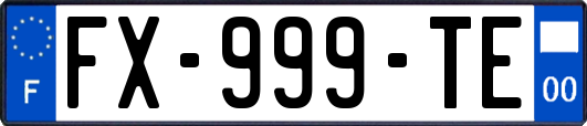 FX-999-TE