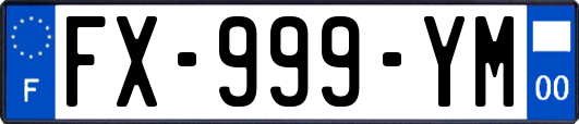 FX-999-YM