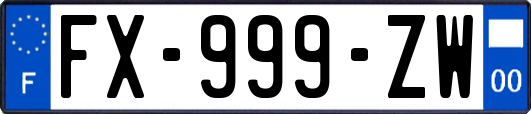 FX-999-ZW