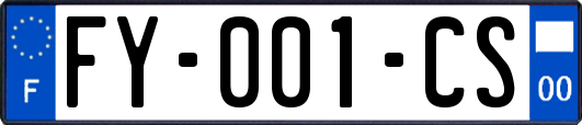 FY-001-CS