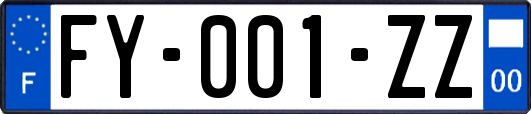FY-001-ZZ