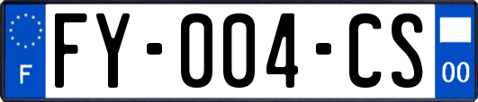 FY-004-CS