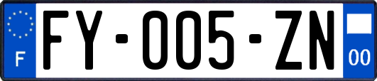 FY-005-ZN