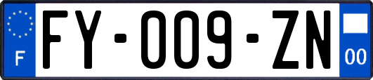 FY-009-ZN
