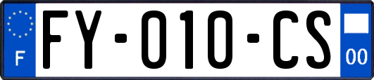 FY-010-CS