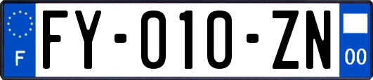 FY-010-ZN