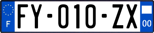 FY-010-ZX