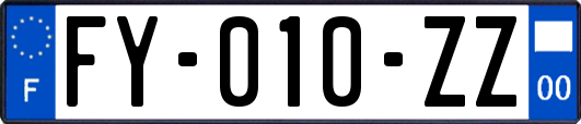 FY-010-ZZ