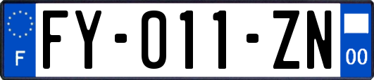 FY-011-ZN