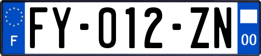 FY-012-ZN