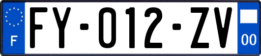 FY-012-ZV