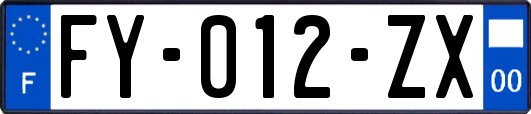 FY-012-ZX