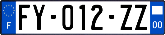 FY-012-ZZ