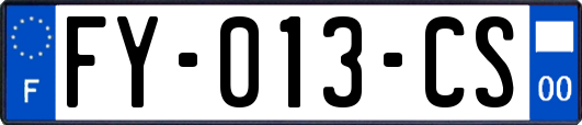 FY-013-CS