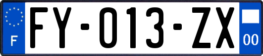 FY-013-ZX