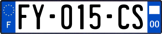 FY-015-CS