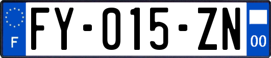 FY-015-ZN