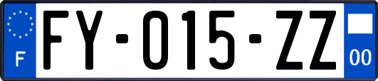 FY-015-ZZ