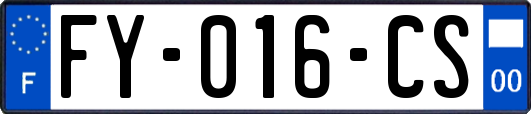 FY-016-CS